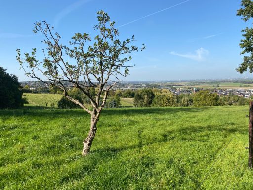 Ruhige Ferienwohnung bei Köln und Bonn