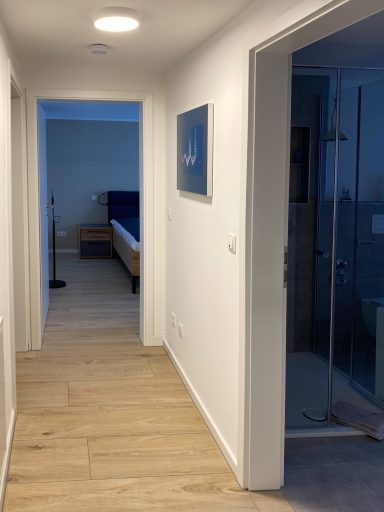 Heller Flur mit Schlafzimmer und Duschbereich in der Nähe. Holzfußboden, moderne Einrichtung.