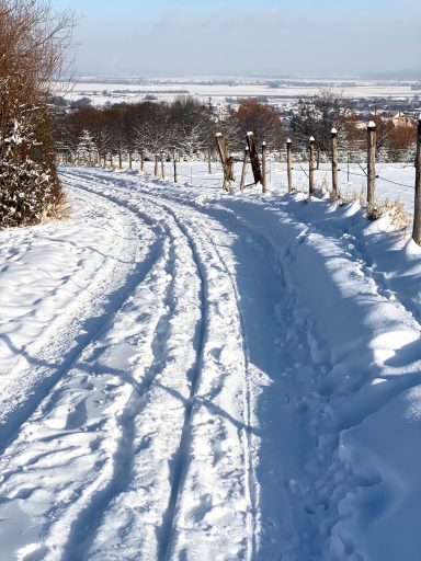 Schneebedeckte Landschaft mit Fuß- und Reifenspuren in einer ländlichen Umgebung.